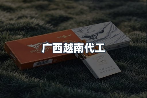 广西越南代工